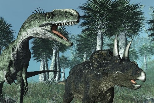 asilisaurus kongwe